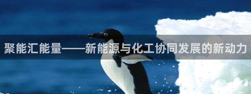 球盟会官方登录平台：聚能汇能量——新能源与化工协同发展的新动