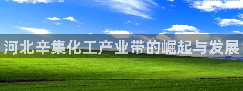 球盟会里面有打牌的嘛：河北辛集化工产业带的崛起与发展