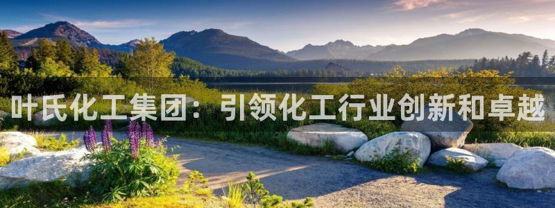 球盟会app最新地址下载：叶氏化工集团：引领化工行业创新和卓
