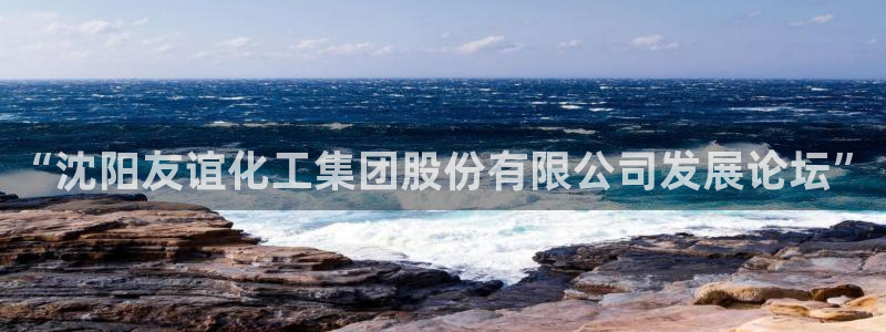 球盟会网址：“沈阳友谊化工集团股份有限公司发展论坛”
