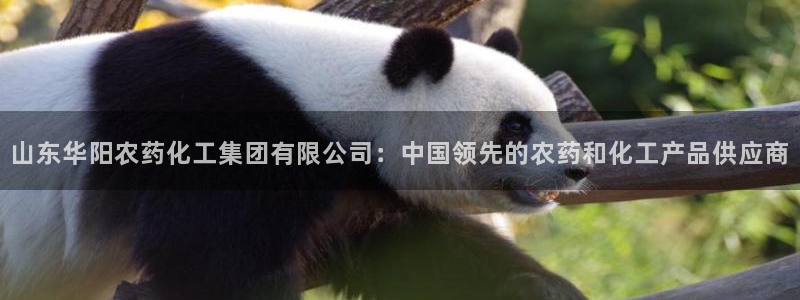 球盟会用的客服聊天是哪个软件：山东华阳农药化工集团有限公司：