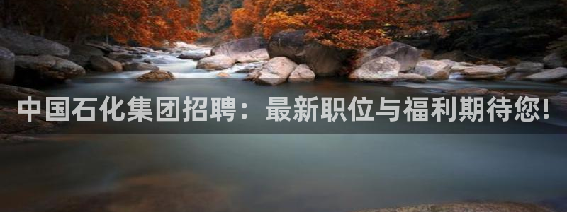 球盟会网址：中国石化集团招聘：最新职位与福利期待您!