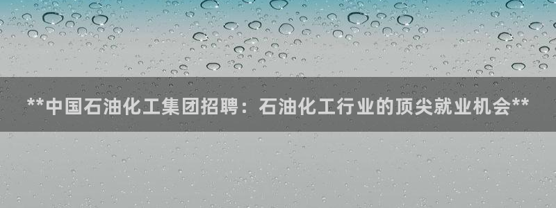 球盟会有没有黑单的球员：**中国石油化工集团招聘：石油化工行