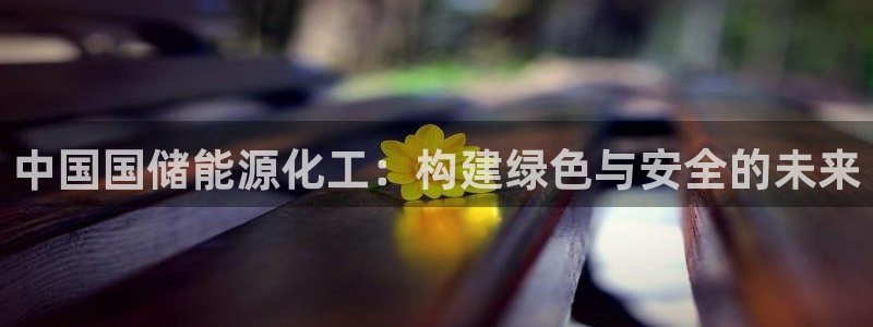 球盟会app最新地址下载：中国国储能源化工：构建绿色与安全的