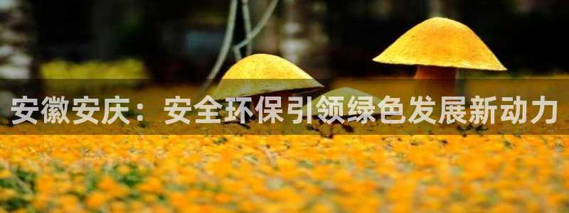 球盟会下款快吗：安徽安庆：安全环保引领绿色发展新动力