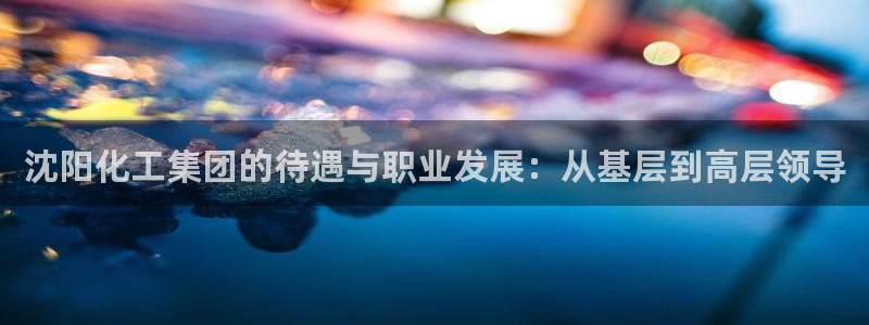 千亿球盟会乐玩：沈阳化工集团的待遇与职业发展：从基层到高层领