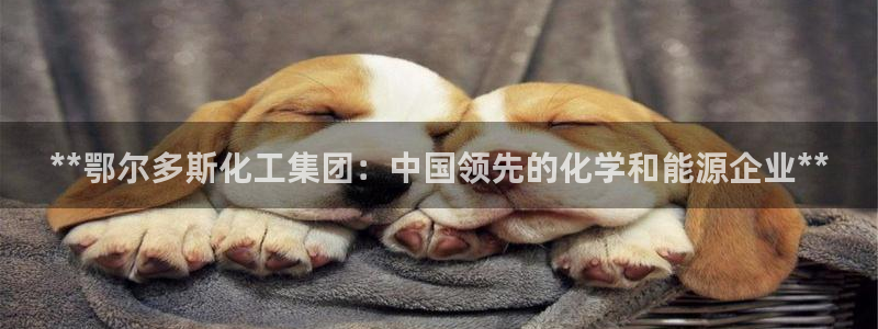 球盟会登录平台入口：**鄂尔多斯化工集团：中国领先的化学和能