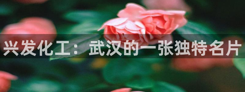 球盟会电子：兴发化工：武汉的一张独特名片