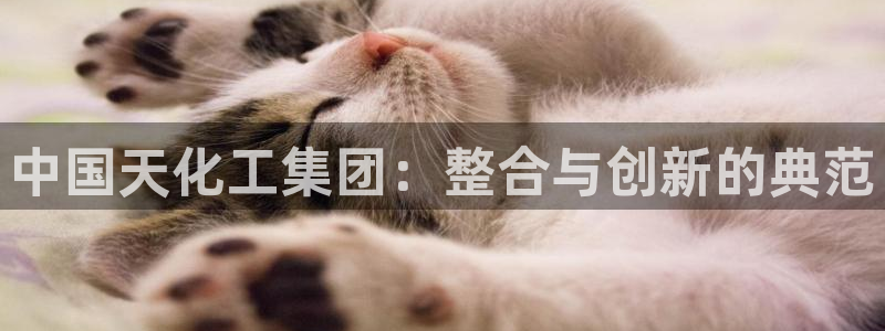 球盟会提款支付宝怎么样：中国天化工集团：整合与创新的典范