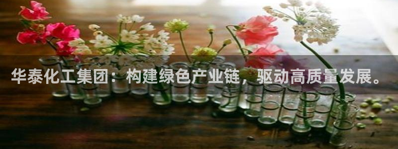 球盟会网址qm9 - 球盟会qmh网页版登录：华泰化工集团：
