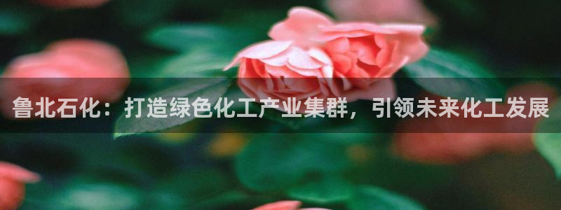 球盟会黑：鲁北石化：打造绿色化工产业集群，引领未来化工发展