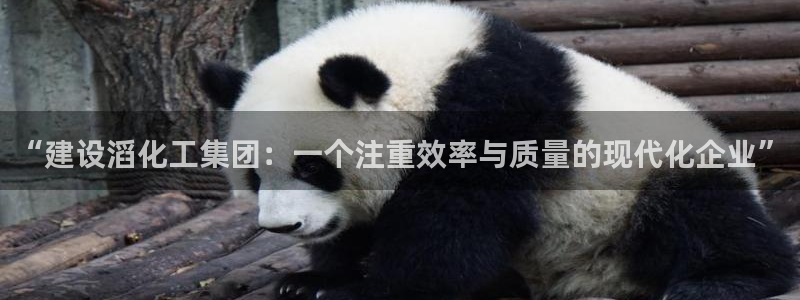 球盟会唯一：“建设滔化工集团：一个注重效率与质量的现代化企业