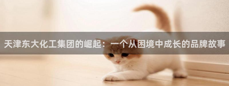 球盟会黑款吗：天津东大化工集团的崛起：一个从困境中成长的品牌