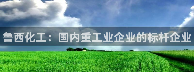 球盟会论坛：鲁西化工：国内重工业企业的标杆企业