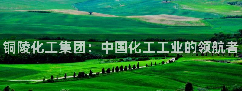 球盟会能提现吗安全吗：铜陵化工集团：中国化工工业的领航者