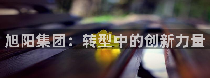 球盟会官方网址入口：旭阳集团：转型中的创新力量