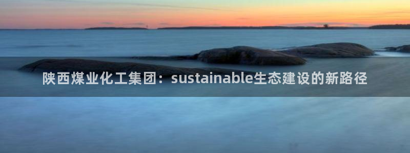 球盟会黑钱：陕西煤业化工集团：sustainable生态建设