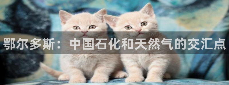 球盟会qmh：鄂尔多斯：中国石化和天然气的交汇点
