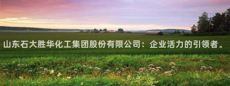 球盟会有没有黑单的人：山东石大胜华化工集团股份有限公司：企业