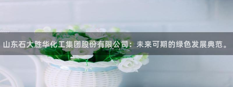 球盟会能退钱吗现在：山东石大胜华化工集团股份有限公司：未来可
