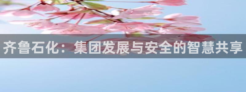 球盟会app安装：齐鲁石化：集团发展与安全的智慧共享