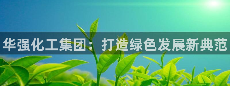 球盟会在线登入：华强化工集团：打造绿色发展新典范