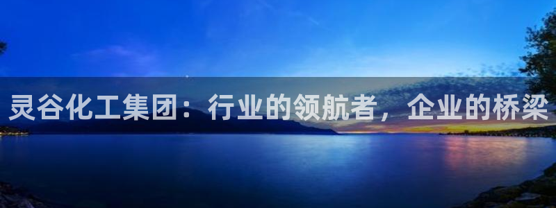 球盟会官方app首页入口：灵谷化工集团：行业的领航者，企业的