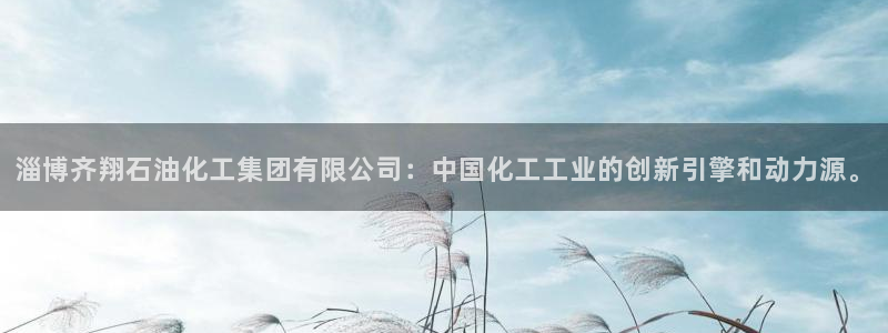 球盟会登陆入口：淄博齐翔石油化工集团有限