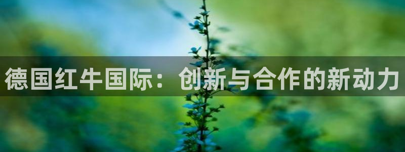 球盟会提款支付宝怎么样：德国红牛国际：创