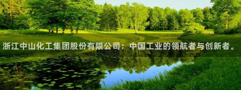 球盟会黑款吗是真的吗：浙江中山化工集团股份有限公司：中国工业