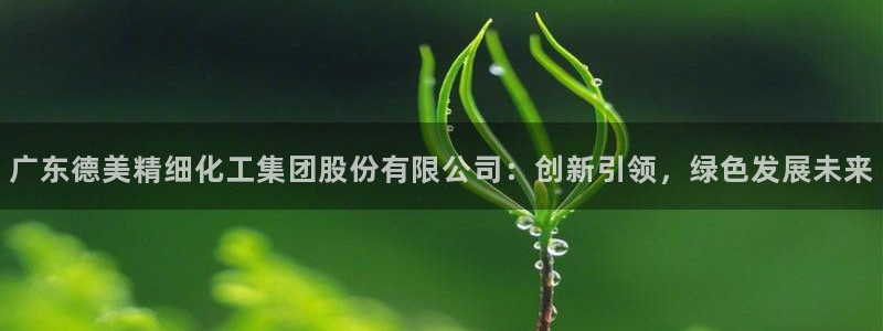 球盟会黑台子：广东德美精细化工集团股份有限公司：创新引领，绿