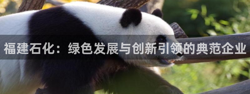 球盟会出款黑了：福建石化：绿色发展与创新引领的典范企业