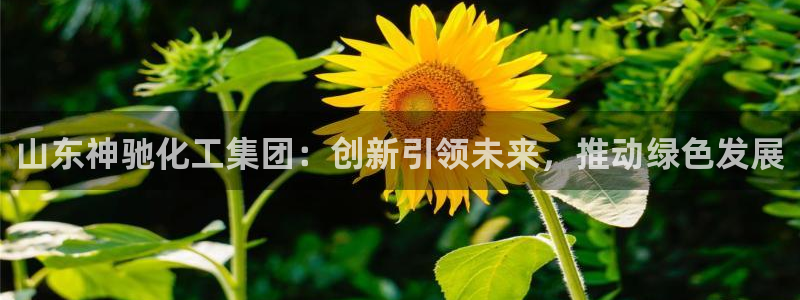 球盟会下款快吗：山东神驰化工集团：创新引领未来，推动绿色发展