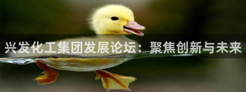 球盟会官方app首页入口：兴发化工集团发展论坛：聚焦创新与未