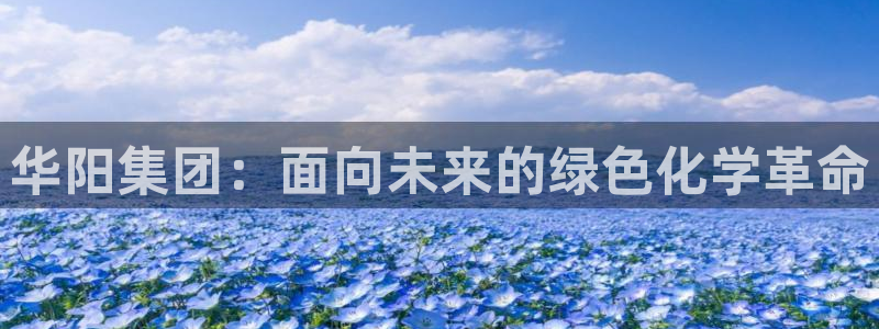 球盟会中国网页登录：华阳集团：面向未来的绿色化学革命