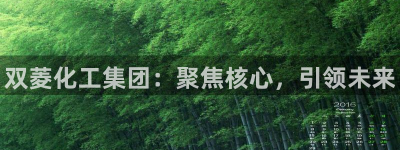 球盟会贴吧：双菱化工集团：聚焦核心，引领未来