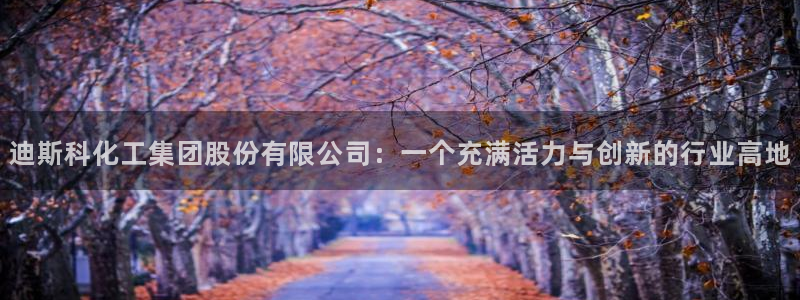 球盟会综合体育平台怎么样：迪斯科化工集团股份有限公司：一个充