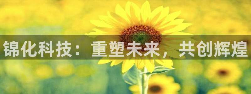 球盟会app入口：锦化科技：重塑未来，共创辉煌