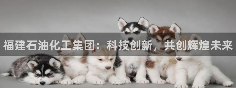 球盟会和中欧合作吗：福建石油化工集团：科技创新，共创辉煌未来