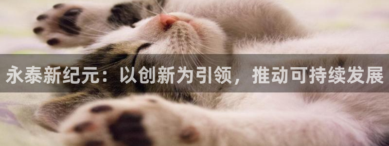 球盟会最新地址备用：永泰新纪元：以创新为引领，推动可持续发展