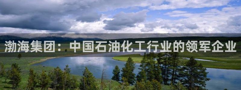 球盟会app安装：渤海集团：中国石油化工行业的领军企业
