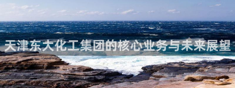 球盟会官网入口：天津东大化工集团的核心业务与未来展望