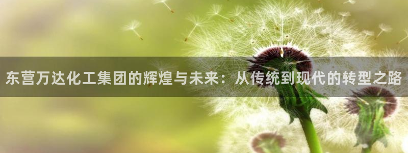 球盟会app安装：东营万达化工集团的辉煌与未来：从传统到现代