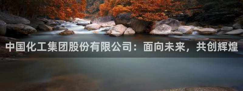 球盟会娱乐平台：中国化工集团股份有限公司：面向未来，共创辉煌