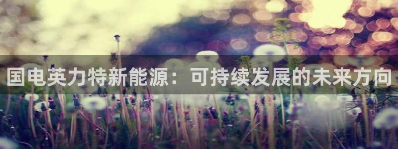 球盟会：国电英力特新能源：可持续发展的未来方向