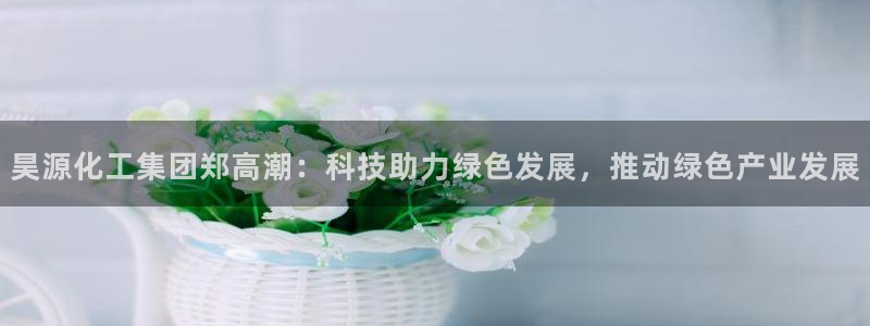 球盟会电子游戏平台：昊源化工集团郑高潮：科技助力绿色发展，推