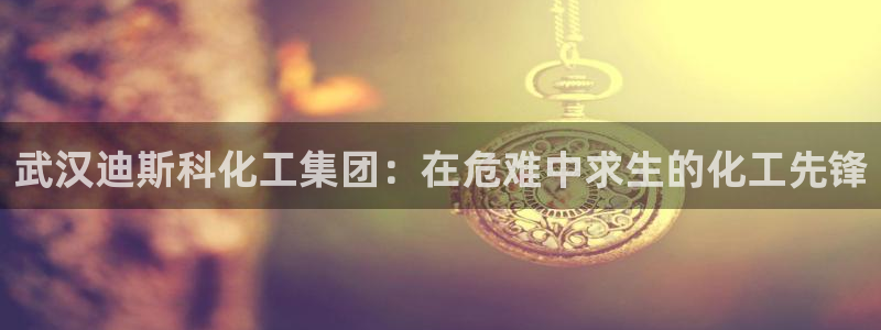 球盟会邮箱：武汉迪斯科化工集团：在危难中求生的化工先锋