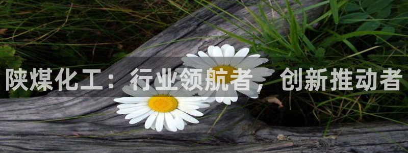 球盟会APP最新地址：陕煤化工：行业领航者，创新推动者
