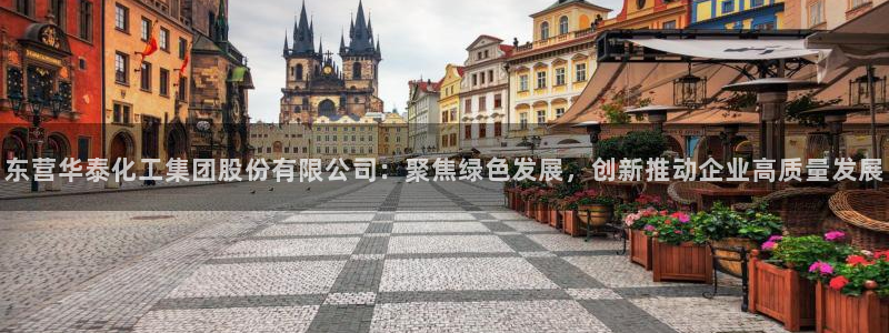球盟会电子游戏平台：东营华泰化工集团股份有限公司：聚焦绿色发