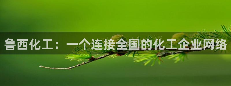 球盟会黑款吗是真的吗：鲁西化工：一个连接全国的化工企业网络